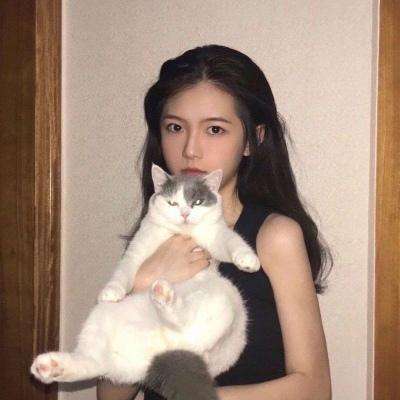 小精灵寻找魔法石九游版下载